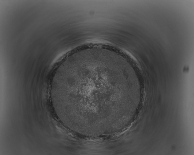 X0000093490775200710191226