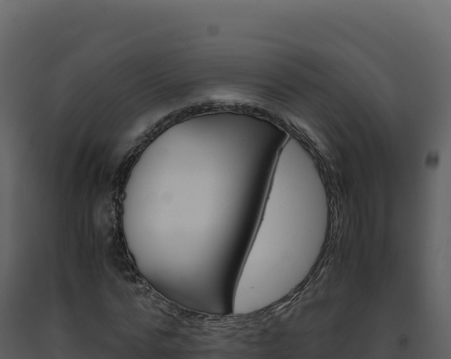 X0000093490776200710191226