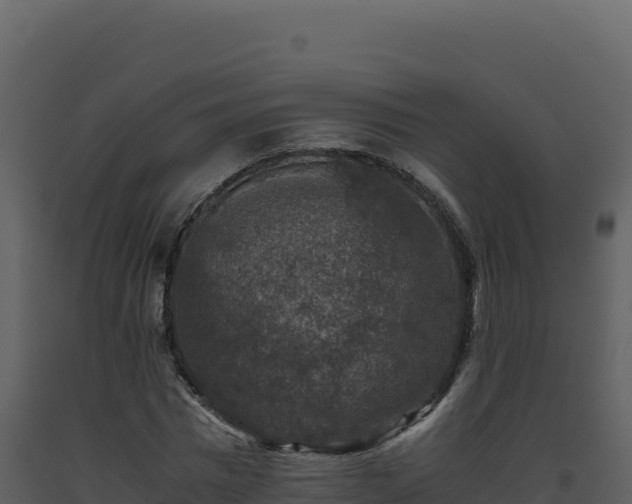 X0000093490777200710191226