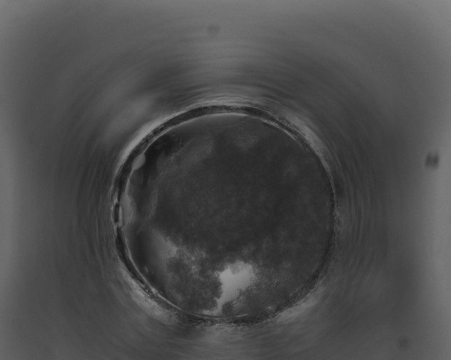 X0000093490779200710191226