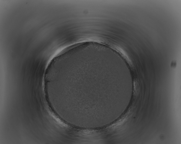 X0000093490780200710191226