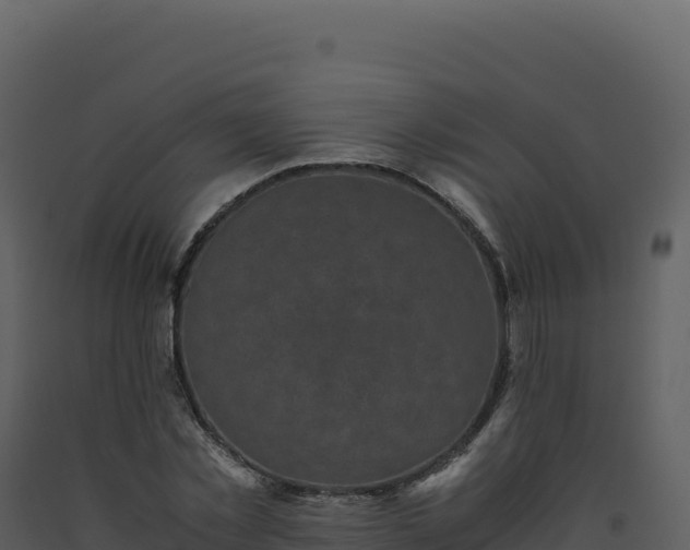 X0000093490781200710191226