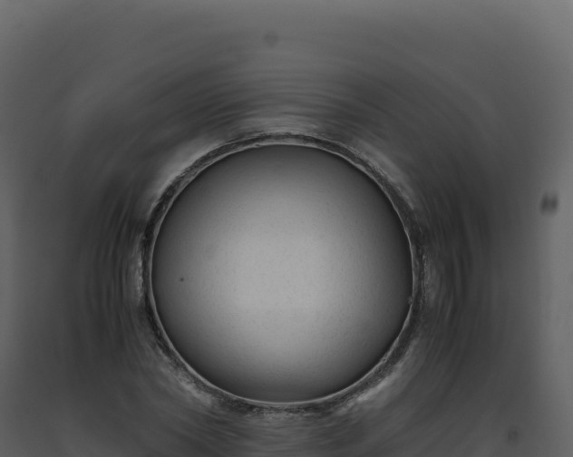 X0000093490782200710191226