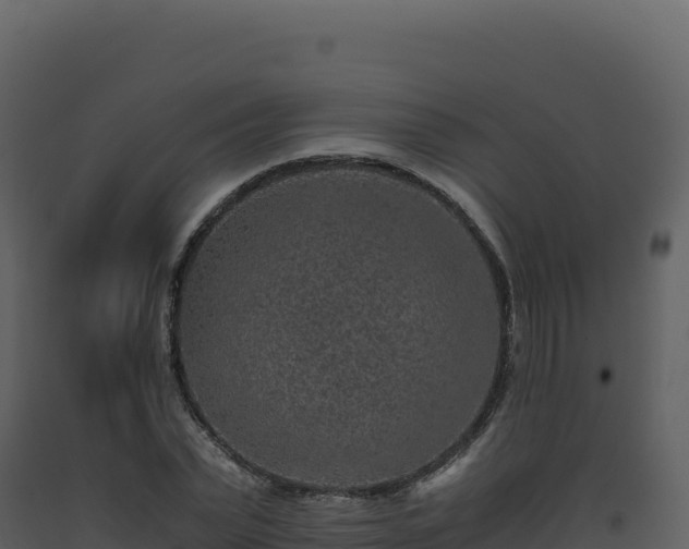 X0000093490783200710191226