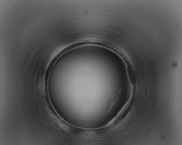 X0000093490784200710191226