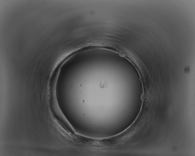 X0000093490787200710191226