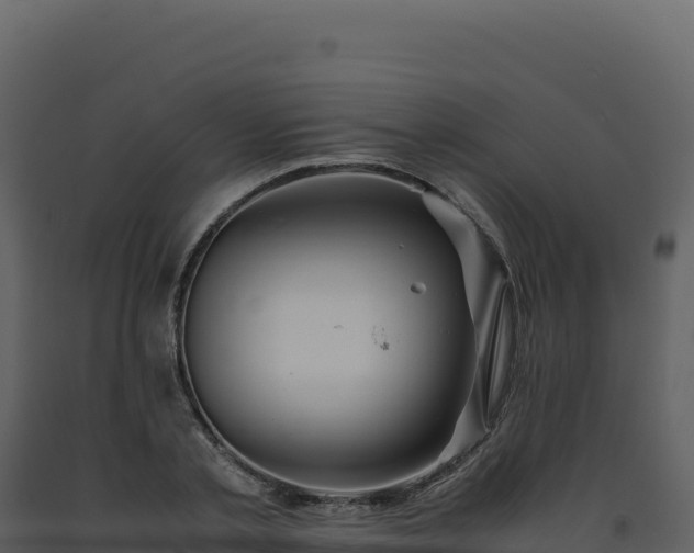 X0000093490789200710191226