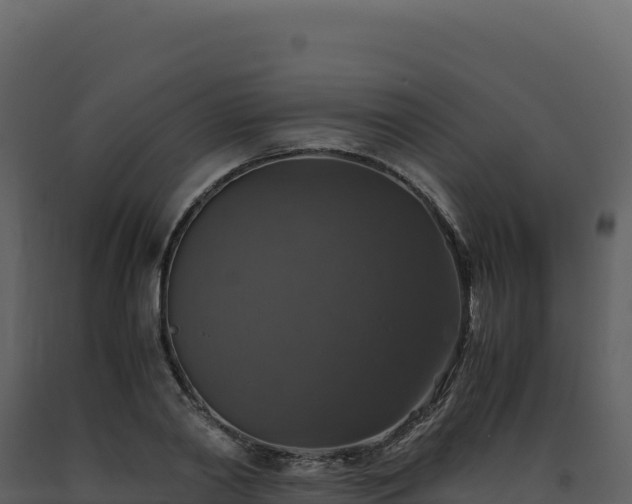 X0000093490790200710191226