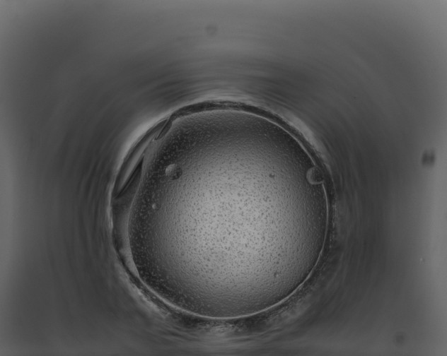 X0000093490791200710191226