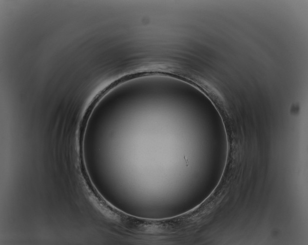 X0000093490792200710191226