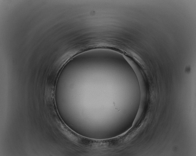 X0000093490793200710191226