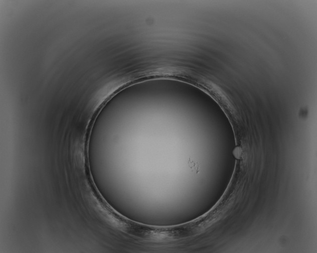 X0000093490794200710191226