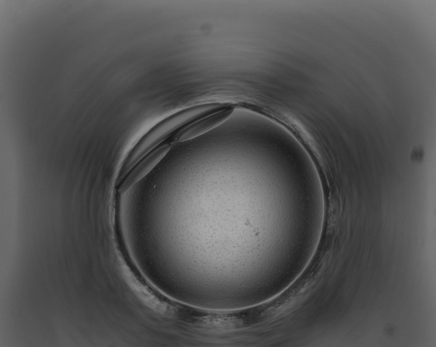 X0000093490795200710191226