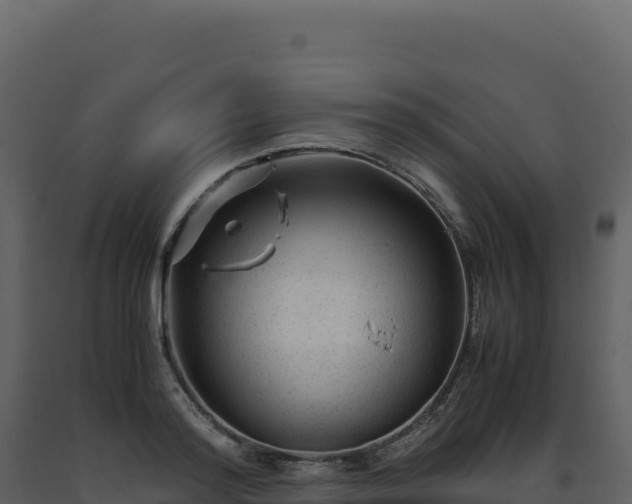 X0000093490796200710191226