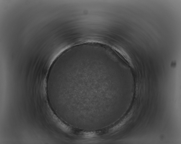 X0000093490798200710191226