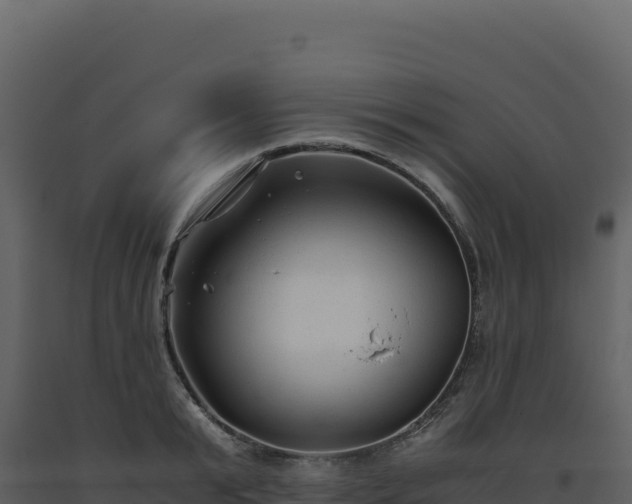 X0000093490799200710191226