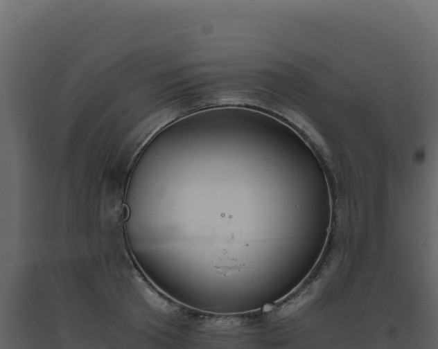 X0000093490801200710191226