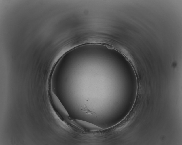 X0000093490803200710191226