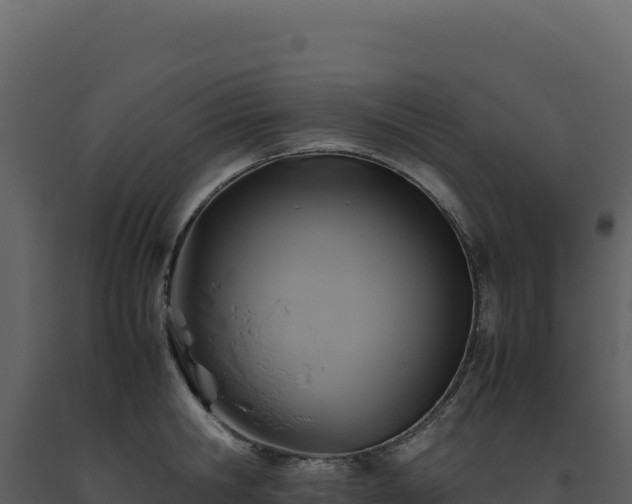 X0000093490806200710191226