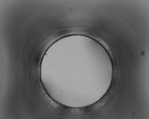 X0000093490807200710191226