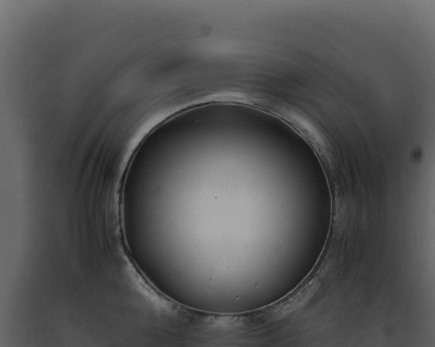 X0000093490808200710191226