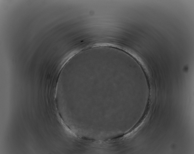 X0000093490809200710191226