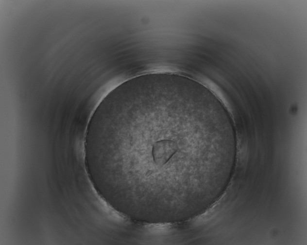 X0000093490810200710191226