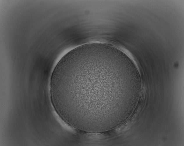 X0000093490811200710191226