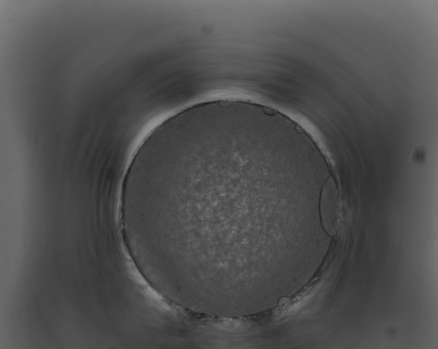 X0000093490815200710191226