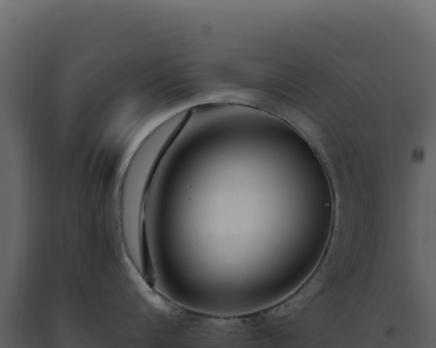 X0000093490816200710191226