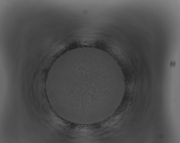 X0000093490817200710191225