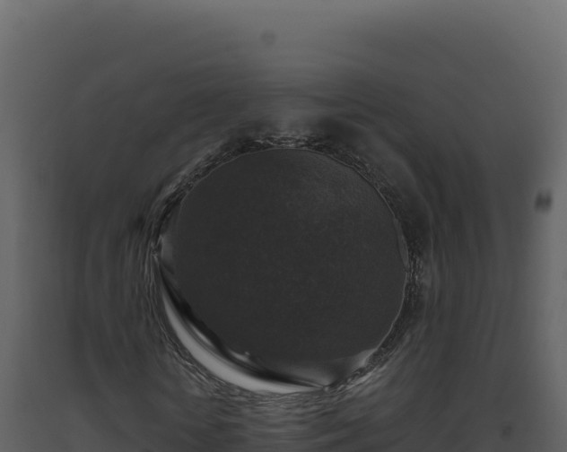 X0000093490818200710191225