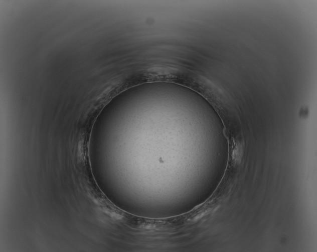 X0000093490819200710191225