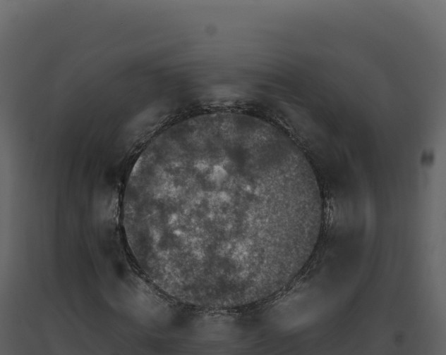 X0000093490820200710191225