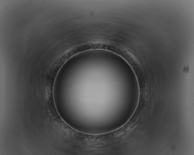 X0000093490821200710191225