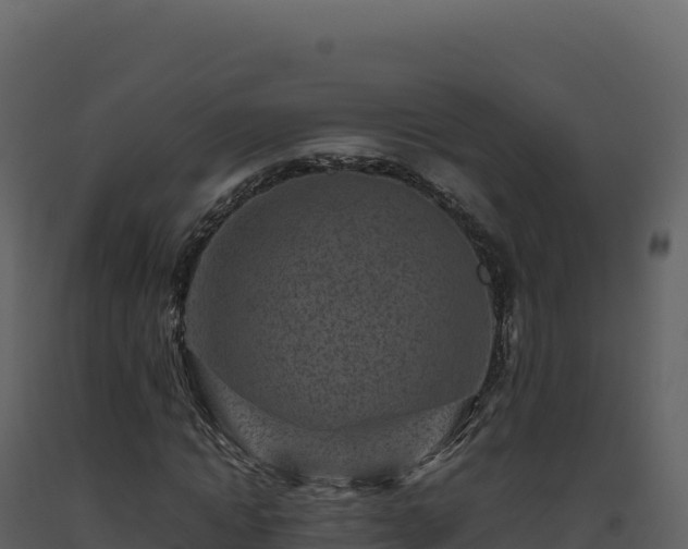 X0000093490822200710191225