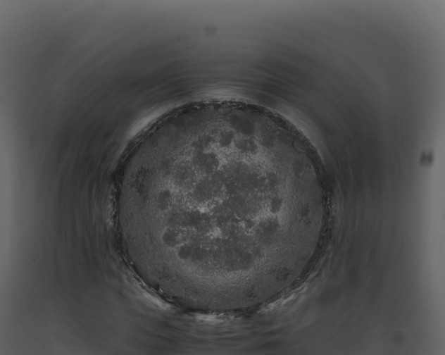 X0000093490823200710191225