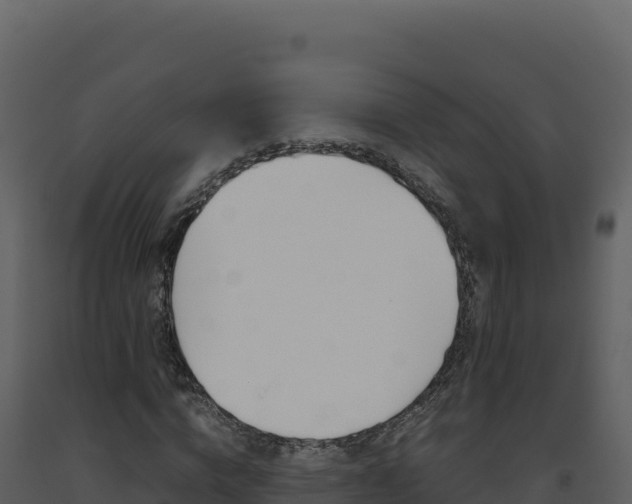 X0000093490824200710191225