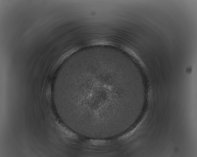 X0000093490825200710191225