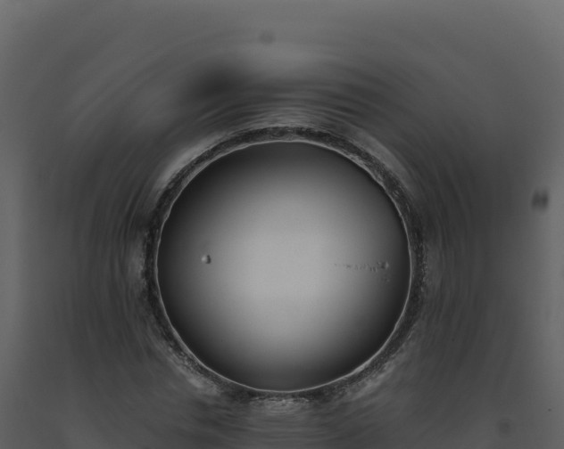 X0000093490826200710191225