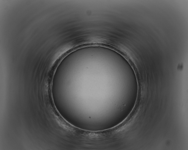 X0000093490827200710191225