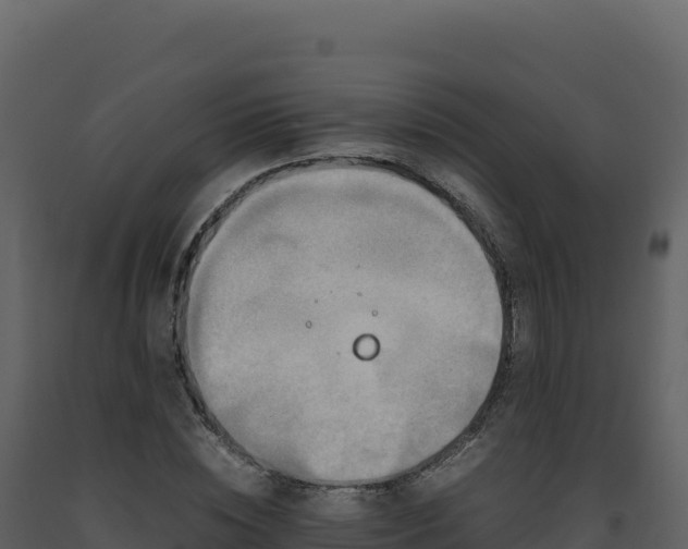 X0000093490828200710191225