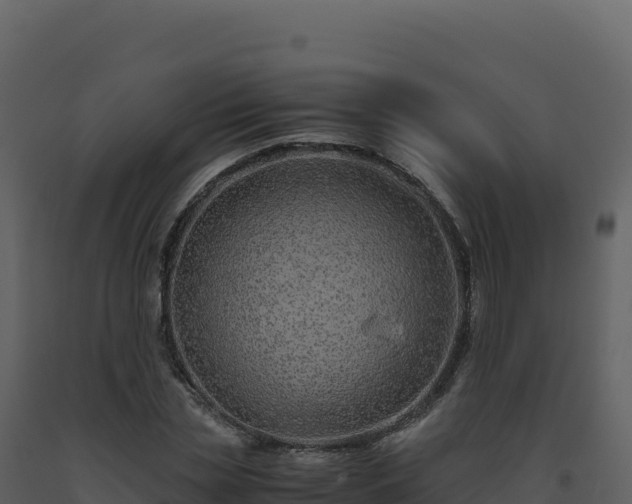 X0000093490829200710191225