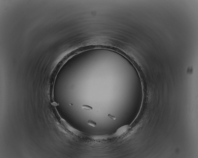 X0000093490830200710191225