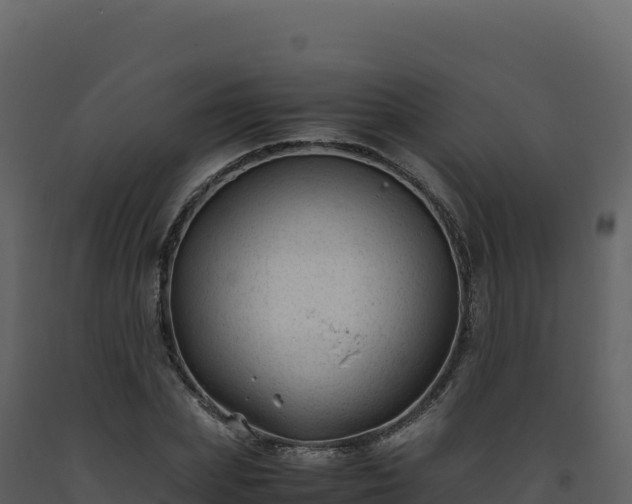 X0000093490831200710191225