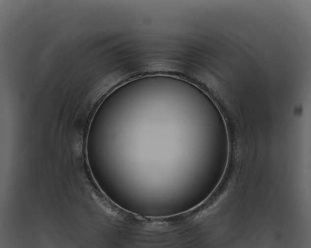 X0000093490833200710191225