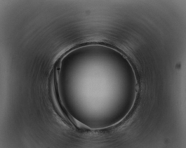 X0000093490834200710191225