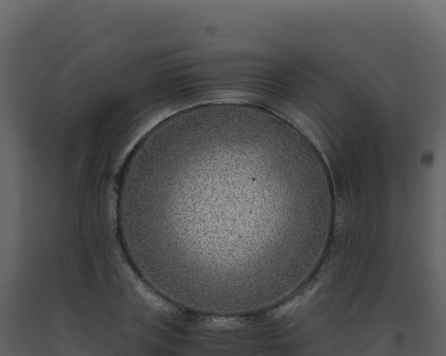 X0000093490835200710191225