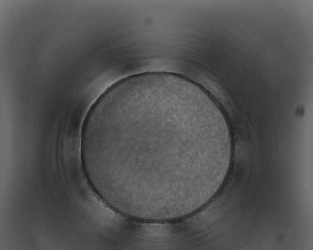 X0000093490836200710191225