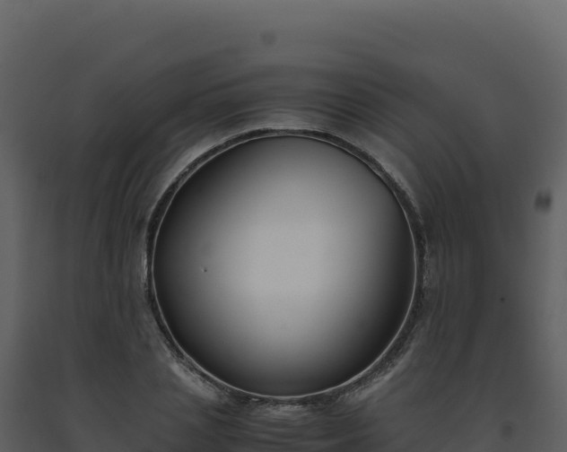 X0000093490837200710191225